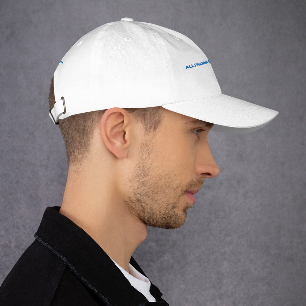 "ALL I WANNA DO IS PLAY VR" HAT